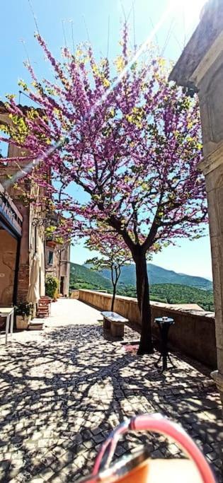 Relax Nell' Antico Borgo Villa Casperia Luaran gambar